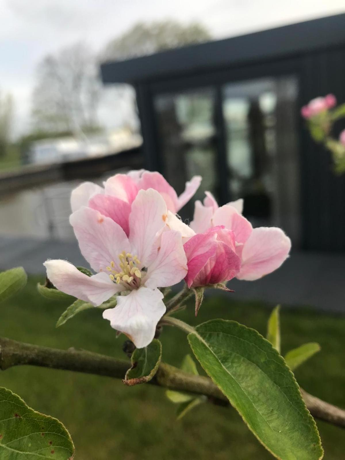 Uniek Overnachten In Een Tiny House Op De Appelhof Wommels エクステリア 写真